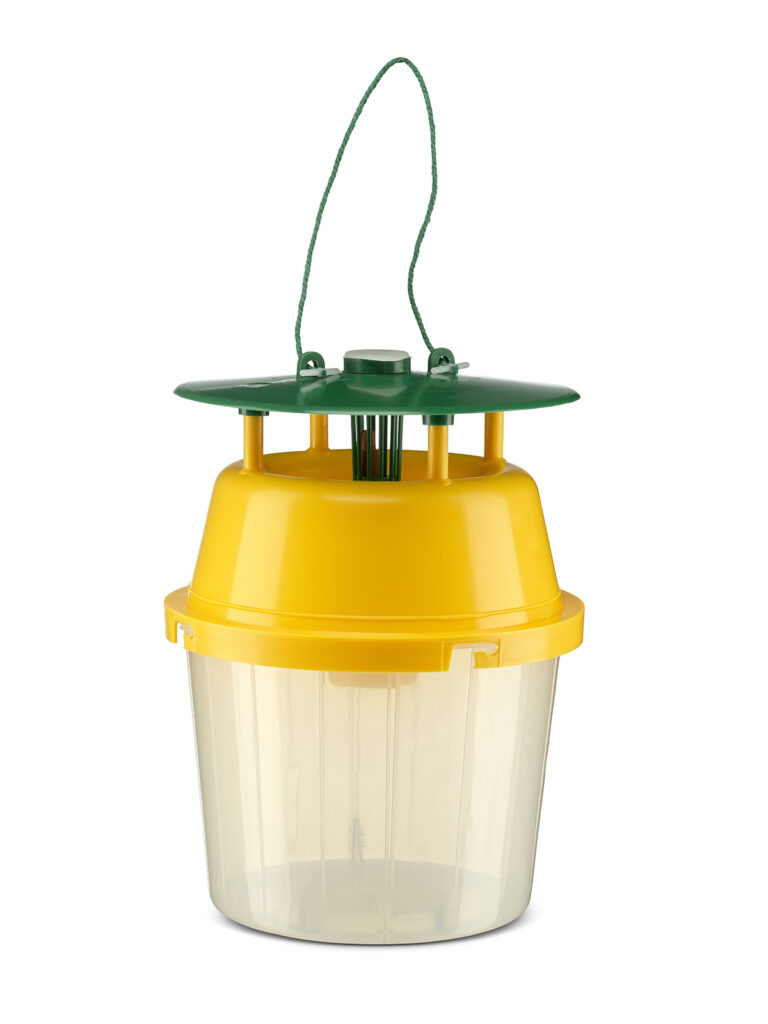 Insect Attractant Traps
